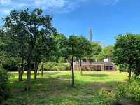 北の丸公園：自然與歷史交融的東京綠洲🌳