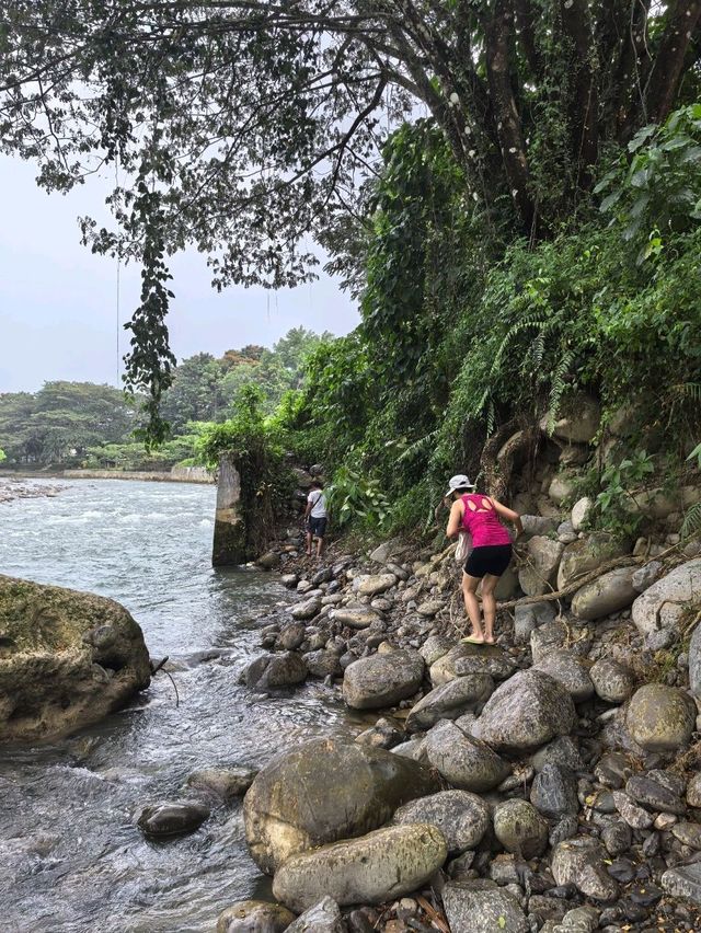 Things to do in Bukit Lawang 