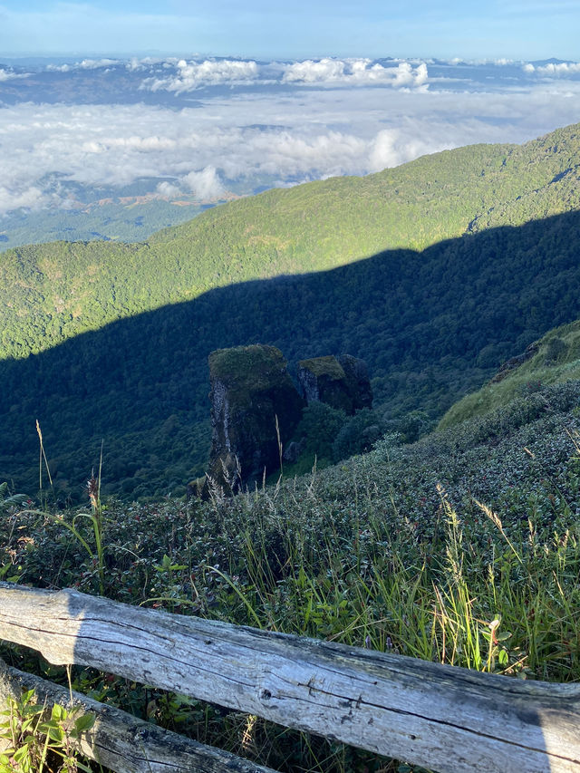 กิ่วแม่ปาน | ดอยอินทนนท์ 🚶🏻🌿🌳🥾