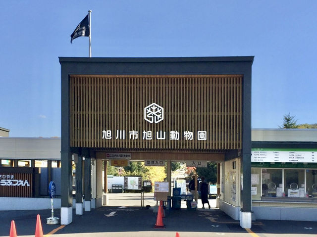 北海道雪豹和企鵝巡遊｜旭山動物園🐧❄️