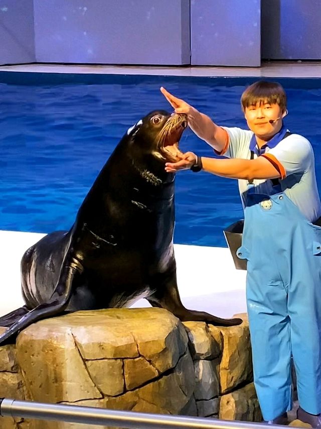 제주 실내 데이트 장소 찾는다면 여기 가세요🐠