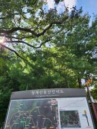 💛가을 수도권 등산여행으로 추천하는, "청계산"💛