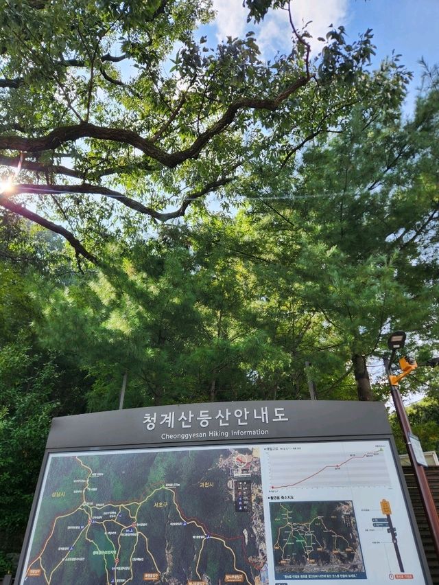 💛가을 수도권 등산여행으로 추천하는, "청계산"💛
