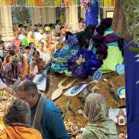 Best place for Govardhan Celebration in Vrindavan