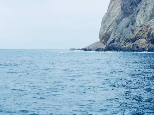 Ngắm cá voi và cá heo ở Nghi Lan