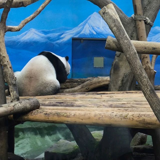 購買trip.com套票遊玩台北市立動物園,價廉+快捷+方便👍