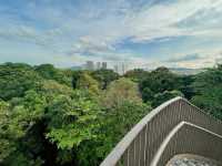 Tranquil Escape at Chestnut Nature Park