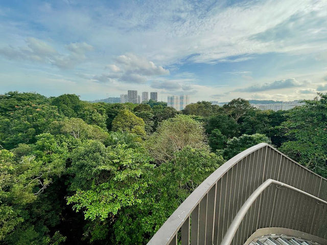 Tranquil Escape at Chestnut Nature Park