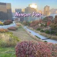 Namsan Park ในฤดูใบไม้เปลี่ยนสี