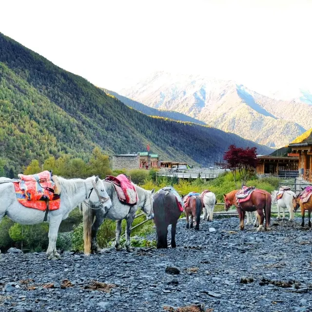 Bangkok-Chengdu|Chengdu-Bangkok (Round Trip).