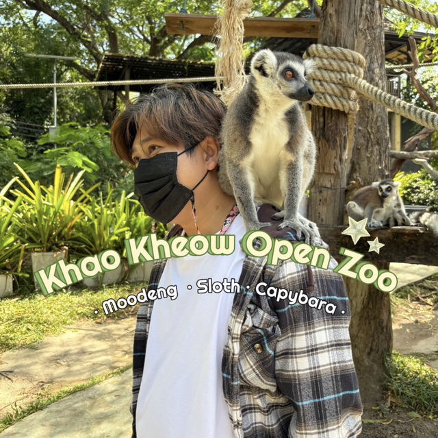 เที่ยวเกาะรีเมอร์ให้อาหารคาปิปาราที่ เขาเขียว