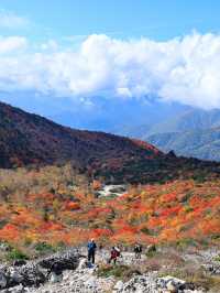 【栃木】死ぬまでにみたい絶景の紅葉