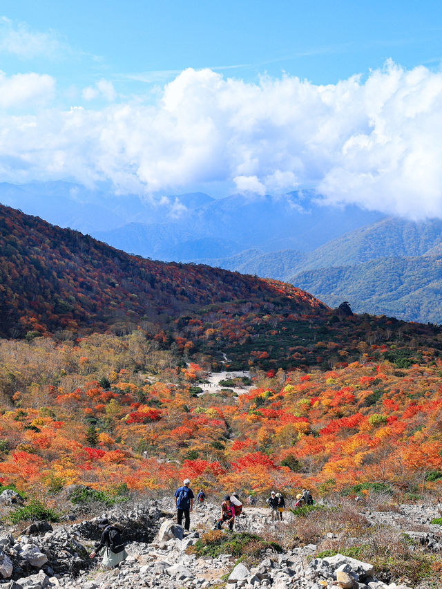 【栃木】死ぬまでにみたい絶景の紅葉