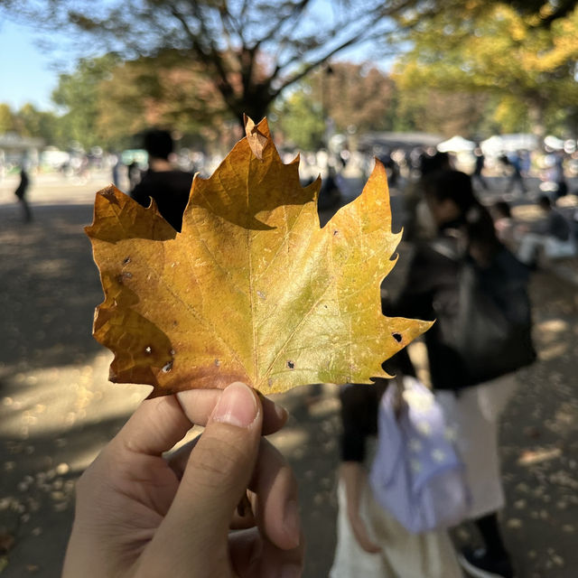 Ueno Park • Tokyo 🇯🇵 Japan