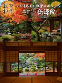 【ここ行って】めちゃ穴場の予約制紅葉スポット🍁庭園の風景が美しい✨