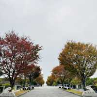 葛西臨海公園 賞花看海的一天