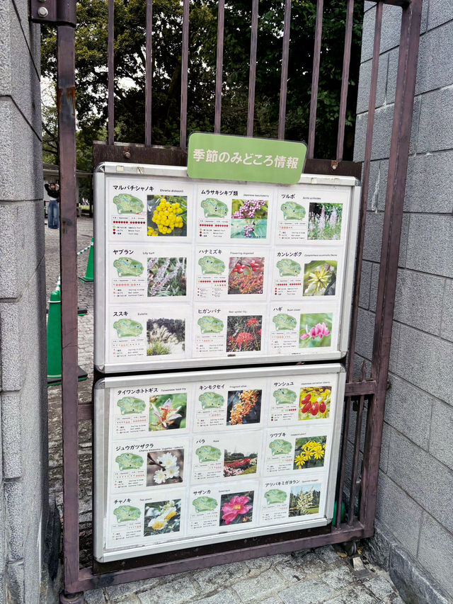 Shinjuku Gyoen National Garden