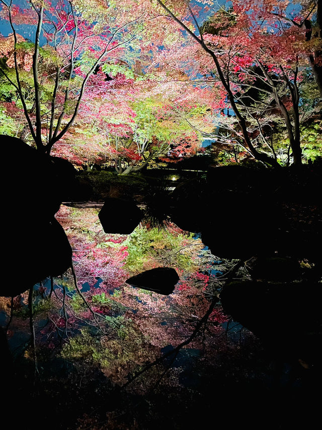【東京の紅葉スポット🍁】池の水面に映り込む逆さ紅葉の絶景