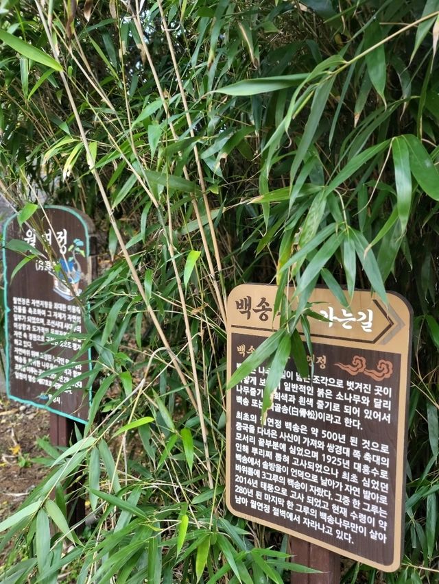 만추의 아름다움이 가득한 밀양 여행지