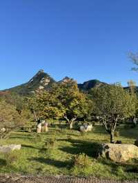 북한산 감성을 마음껏 느낄 수 있는 스타벅스⛰️☕️