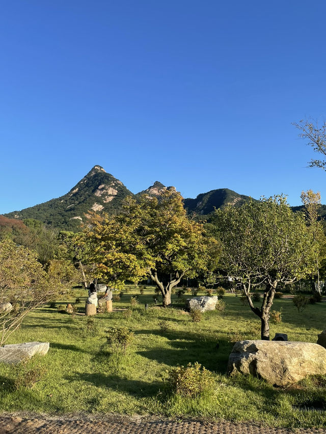 북한산 감성을 마음껏 느낄 수 있는 스타벅스⛰️☕️