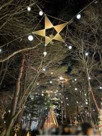 【軽井沢】キャンドルランタンの世界へ🕯おすすめクリスマスイルミネーション