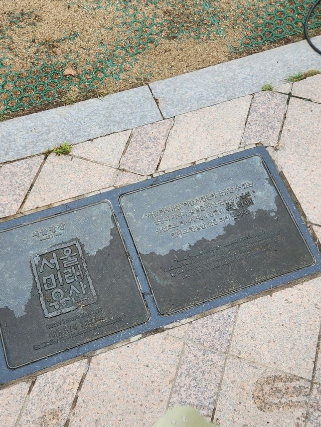 도심 속 잔디밭에서 느끼는 여유, 서울시청광장