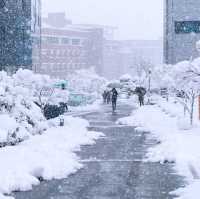 South Korea,