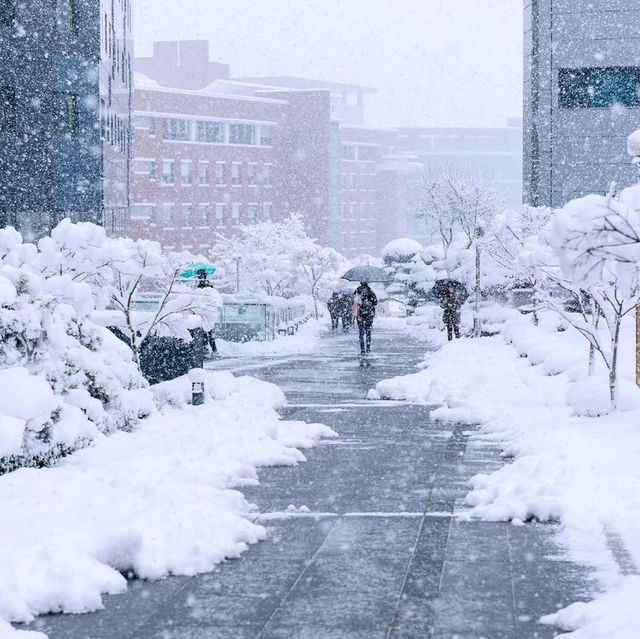 South Korea,