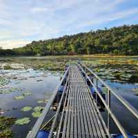 บ้านภูเคียงน้ำรีสอร์ท 