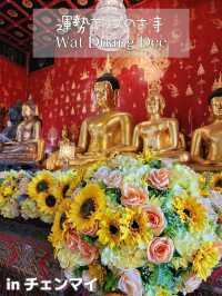 【チェンマイ】運勢アップのお寺 Wat Duang Dee