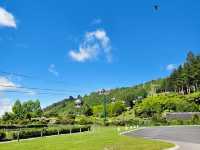 Thrilling Adventures Await at Skyline Rotorua