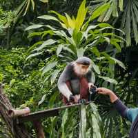 Singapore Zoo and River Wonders - Perfect plan for weekend Getaways
