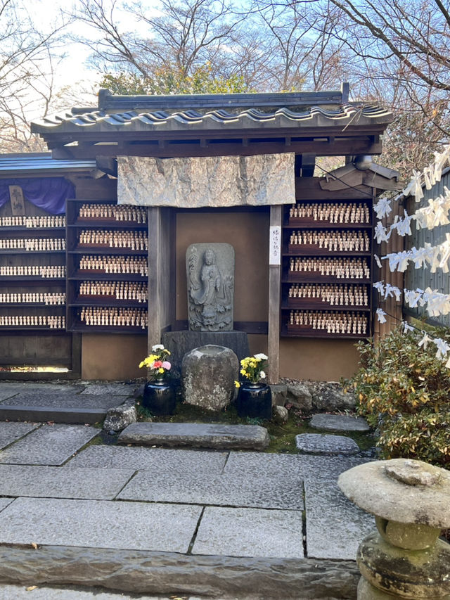 仙台松島円通院⛩️，靜謐的寺庙與美麗庭園