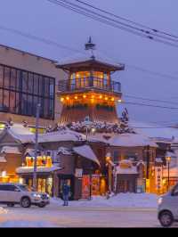 Otaru Canal: A Scenic Gem of Hokkaido