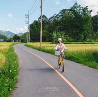 ที่พักน่านสไตล์ญี่ปุ่น น่ารัก ติดลำธาร