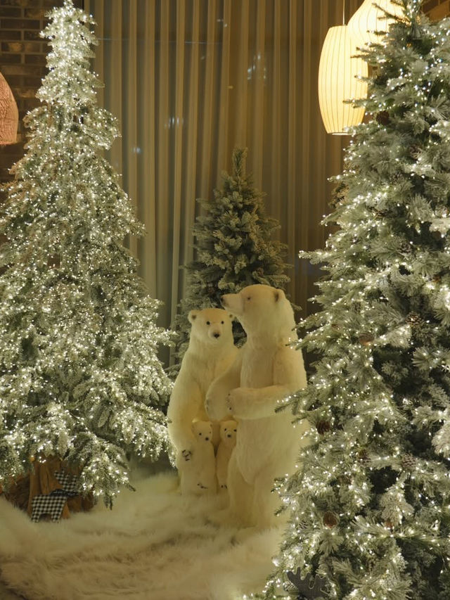 (실시간) 청주 식물원 카페에 찾아온 크리스마스🎄❤️