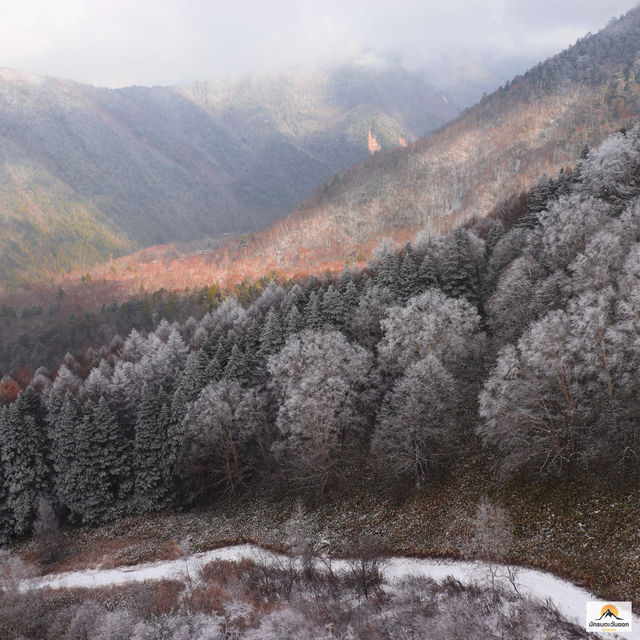 Shinhotaka Ropeway