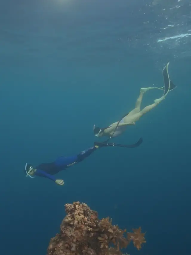 獨特的水中約會，在薄荷島自由潛水