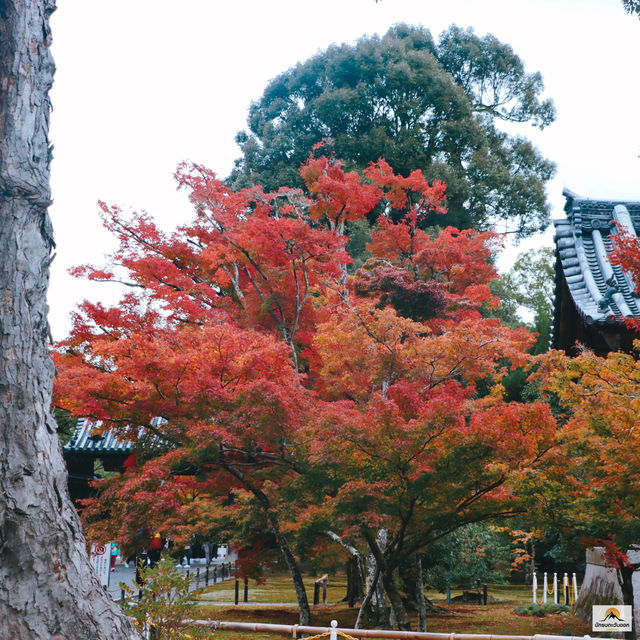 Kinkakuji Temple