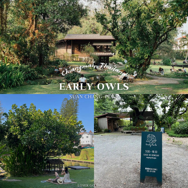 Early Owls ✨☕️ @CNX, TH