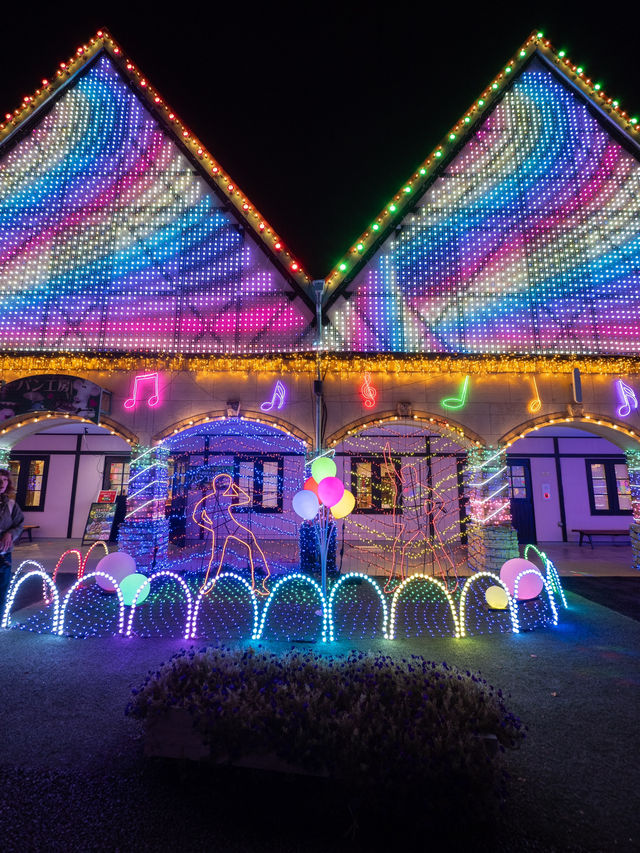 【1000円で楽しめる！✨】東京ドイツ村のイルミネーションが充実すぎる！🎄🎵