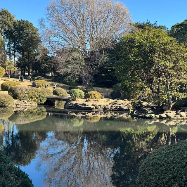 新六月公園：夢幻中的日式園林！🌸