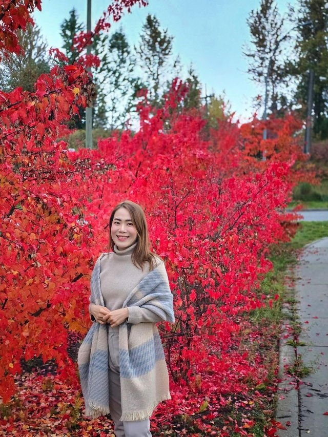 Revelstoke