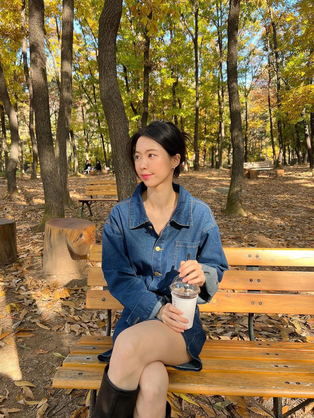 서울근교 단풍 명소! 가을을 느끼기 좋은 의정부 파크프리베 카페 