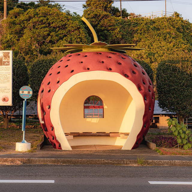 【長崎】ときめきフルーツバス停通り🍈
