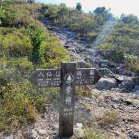 Discovering the Wild Beauty of Wilson Trail Section 9
