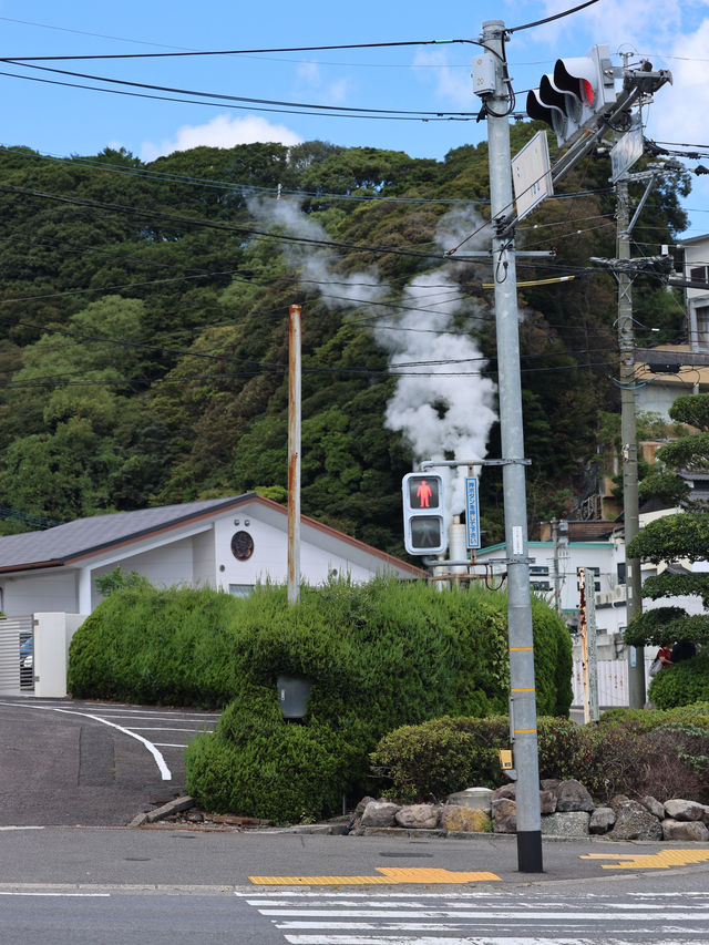 福岡旅遊周邊必訪：大分別府溫泉 ♨️
