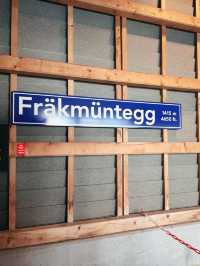 瑞士🇨🇭|挑戰Frakmuntegg長滑梯!