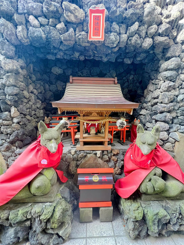 【東京】飛行機と神社のコラボ✨